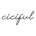 Ciciful Coupon & Promo Codes