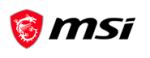MSI Store