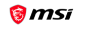 MSI Store